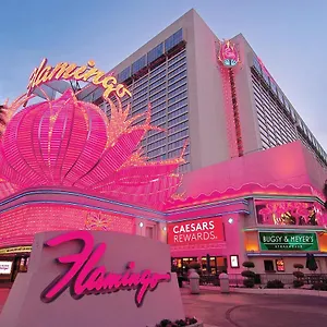 Курортный комплекс Flamingo Vegas & Casino